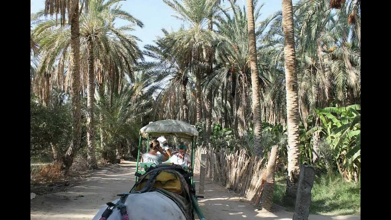 Villa Dar Ezzahra Governatorato di Governatorato di Tozeur Esterno foto